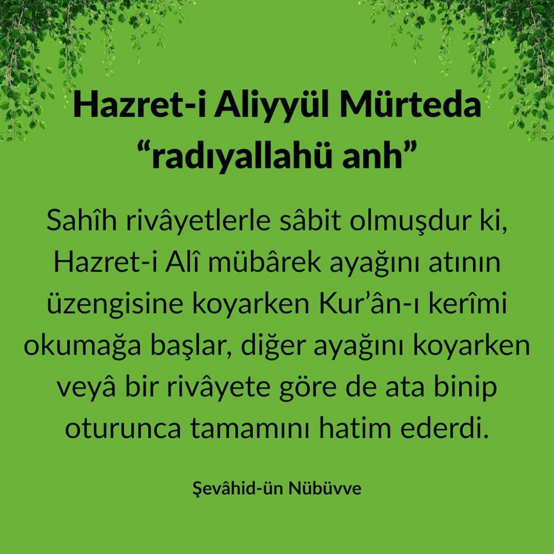 Aliyyül Mürteda (7)